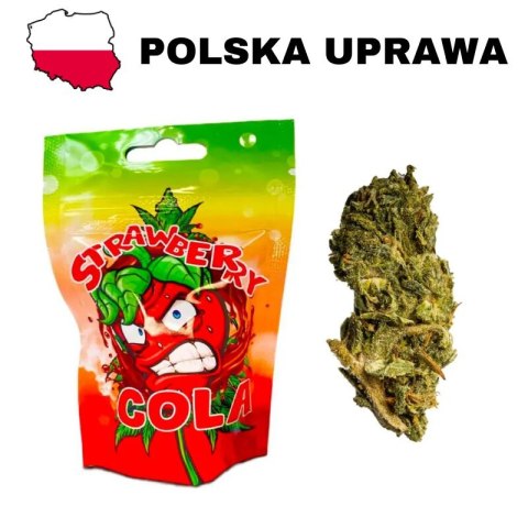 Susz konopny CBD Strawberry Cola - CBD Susz konopny CBD Strawberry Cola - CBD