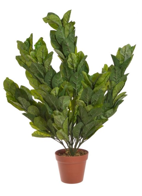 Drzewko w doniczce 62cm OLIVE 13809 Drzewko w doniczce 62cm OLIVE 13809