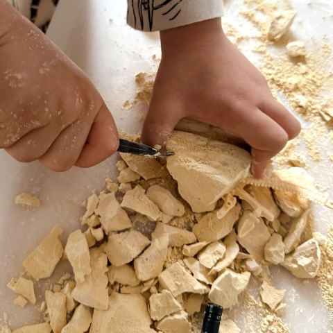 WOOPIE Zabawka Kreatywna Dinozaur Szkielet Wykopalisko Archeologiczne WOOPIE Zabawka Kreatywna Dinozaur Szkielet Wykopalisko Archeologiczne