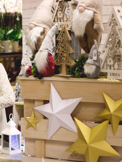 Dekoracja Gwiazdy, biały, różne rozmiary, 6 szt. Partydeco Dekoracja Gwiazdy, biały, różne rozmiary, 6 szt. Partydeco