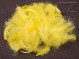 Piórka dekoracyjne - cytrynowe, żółte, 12 g Marka niezdefiniowana