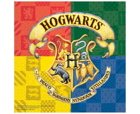 Serwetki papierowe Harry Potter, rozm. 33 x 33 cm, 20 szt. Procos Serwetki papierowe Harry Potter, rozm. 33 x 33 cm, 20 szt. Procos