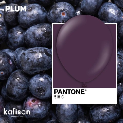 Balony lateksowe Plum, fioletowy 45 cm, 1 szt. Kalisan Balony lateksowe Plum, fioletowy 45 cm, 1 szt. Kalisan