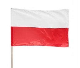 Flaga narodowa na drzewcu 120cm Arpex
