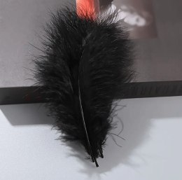 Piórka dekoracyjne - Czarne, 14cm, 100 szt VivaParty