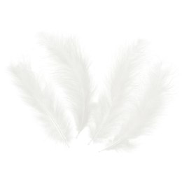 Piórka dekoracyjne Długie - Białe, 14cm, 100 sztuk VivaParty