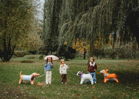 Stojący balon foliowy pies, Buldog, 75x57 cm Partydeco Stojący balon foliowy pies, Buldog, 75x57 cm Partydeco