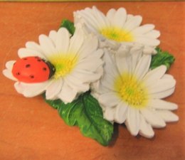 Magnesy na lodówkę STOKROTKA 8szt. | 64283