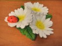 Magnesy na lodówkę STOKROTKA 8szt. | 64283